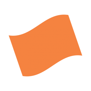 Orange flag infographic